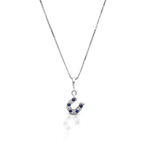 Silver necklace with a horseshoe pendant featuring blue stones 