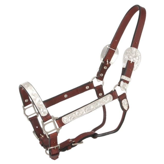 215 SILVER ROYAL Show Halter