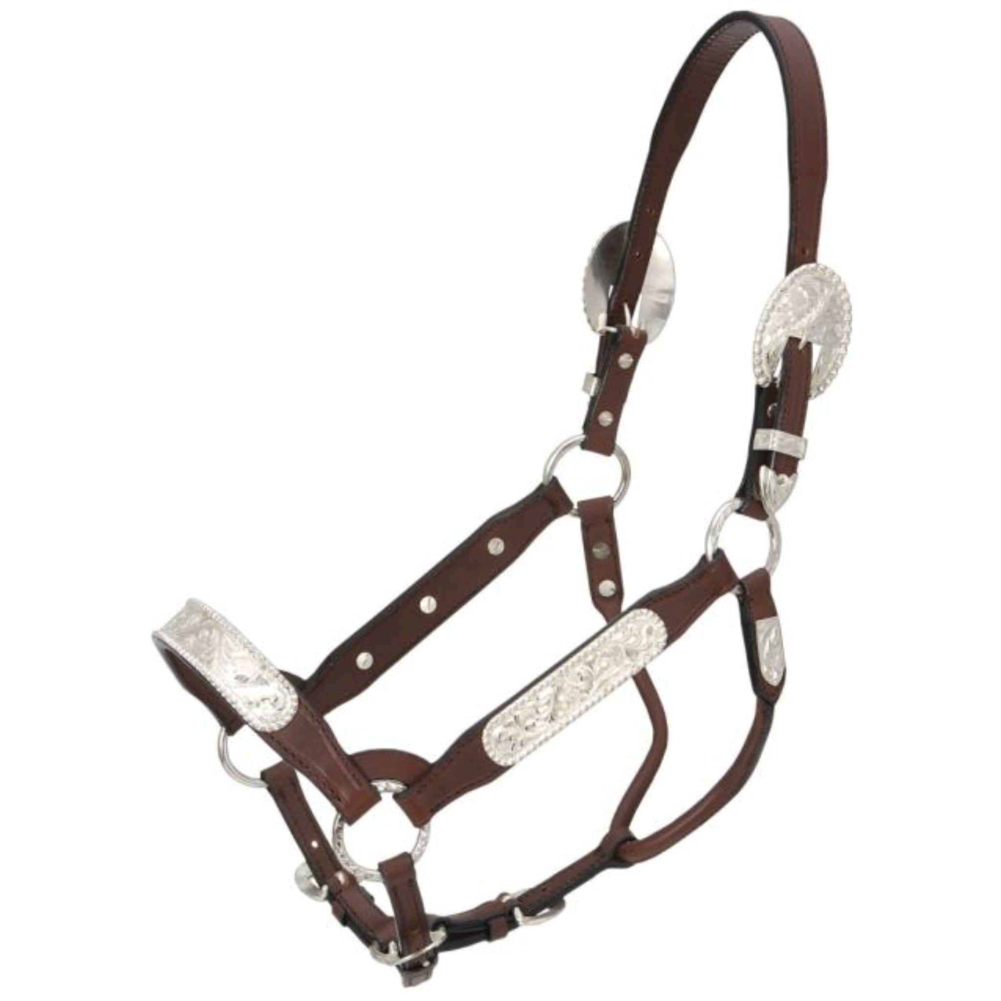  It is made of fine dark oil bridle leather that is doubled and stitched for strength. Wide silver plates across nose and on both cheeks feature a gorgeous berry edge trim.