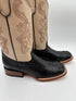TANNER MARK CAIMAN HORNBACK TMY205156