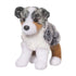 Steward AUSTRALIAN SHEPHARD 4019