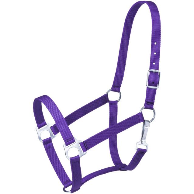 215 Economy Pony Halter 50-1703P
