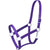 215 Economy Pony Halter 50-1703P