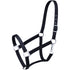 215 Economy Pony Halter 50-1703P