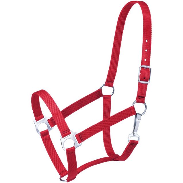 215 Economy Pony Halter 50-1703P