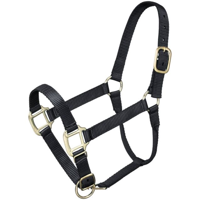 215 Premium Halter 50-920