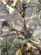 Camouflage Field Wild Rag