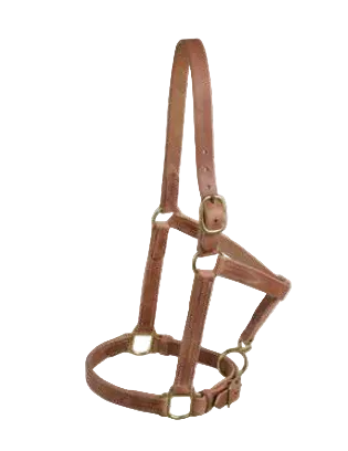 Herman Oak Harness Leather 1" Horse Halter H07
