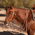 248 German Martingale AD8059HL