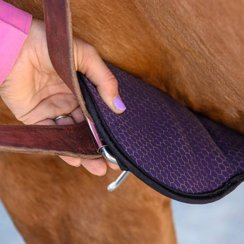 2XCOOL CINCH  XCC