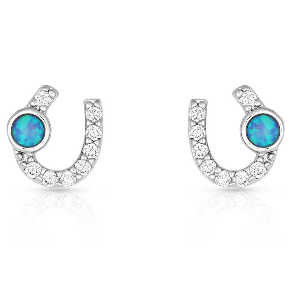 Horseshoe-shaped earrings with blue gemstones and clear stones on a white background