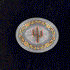 4 Oval Cactus Buckle