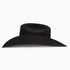 Resistol Black Gold Cowboy Hat #19