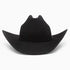 Resistol Black Gold Cowboy Hat #19