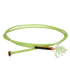 437 RATTLER GOAT STRING