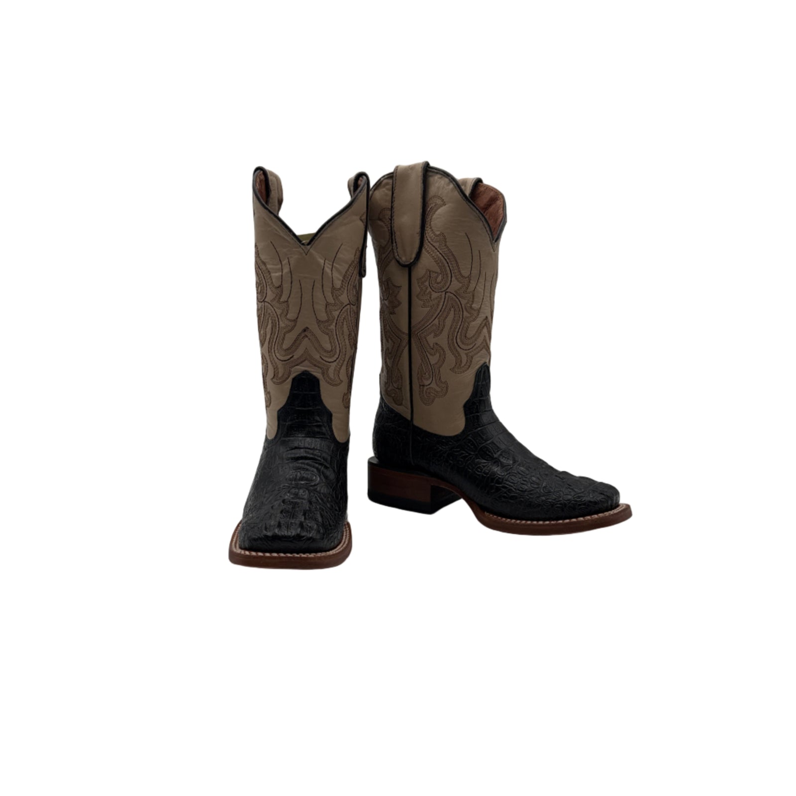 TANNER MARK CAIMAN PRINT HORNBACK TMY205156