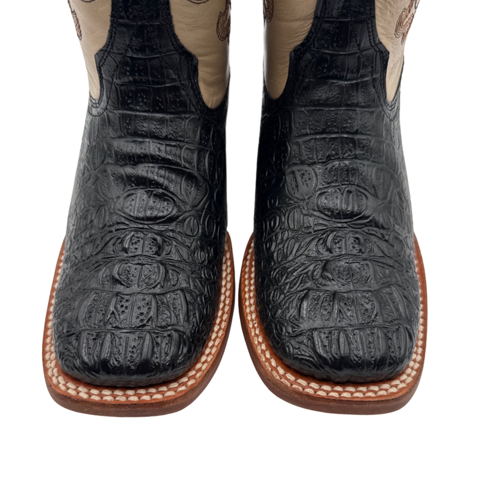 TANNER MARK CAIMAN PRINT HORNBACK TMY205156