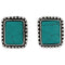 Turquoise Vista Earrings AER6055