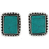 Turquoise Vista Earrings AER6055