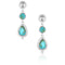 Desert Bloom Earrings ER6107