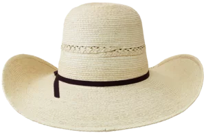 Sunbody Breeze 5