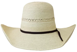 Sunbody Breeze 5