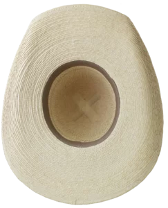 Sunbody Breeze 5