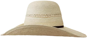 Sunbody Breeze 5