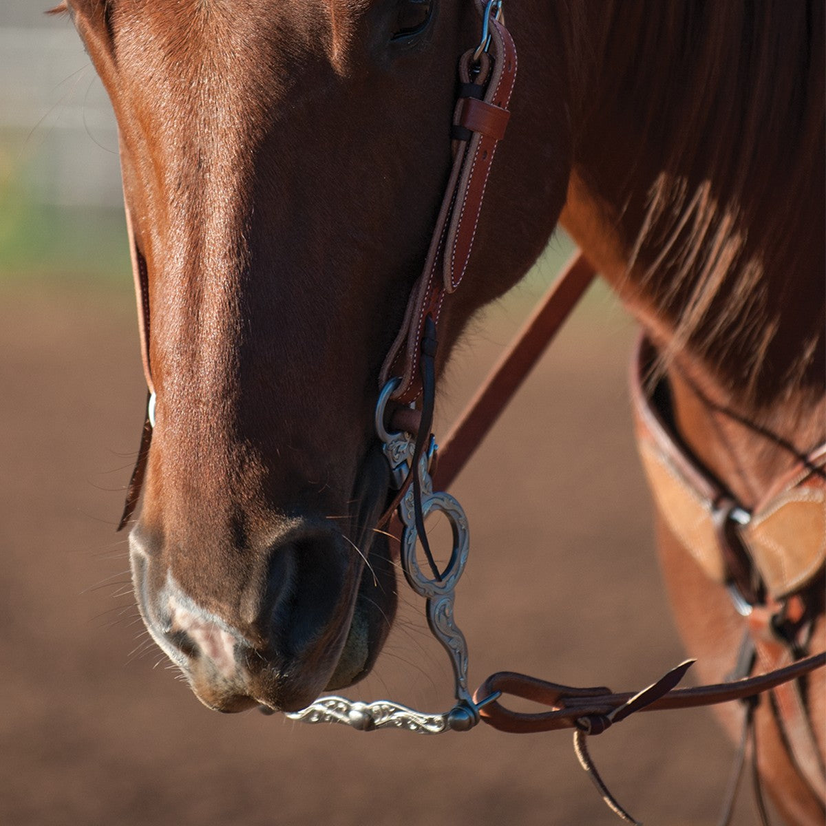 437 Cowhorse Bit 7 1/4 Shank w/ Roller