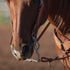 437 Cowhorse Bit 7 1/4 Shank w/ Roller
