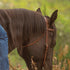 437 Harness Browband Headstall w/ Tied Ends