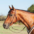437 Browband Headstall